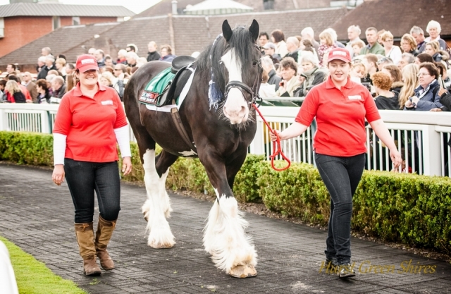  Eventos en Hurst Green Shires Trekking 